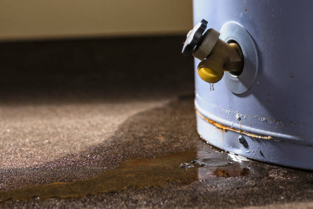 Best Carpet water damage restoration  in West Bountiful, UT