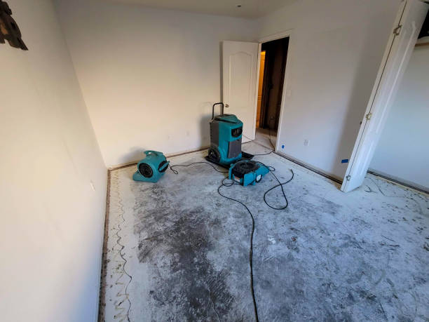 Best Basement water damage restoration  in West Bountiful, UT