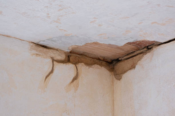 Best Emergency water damage restoration  in West Bountiful, UT