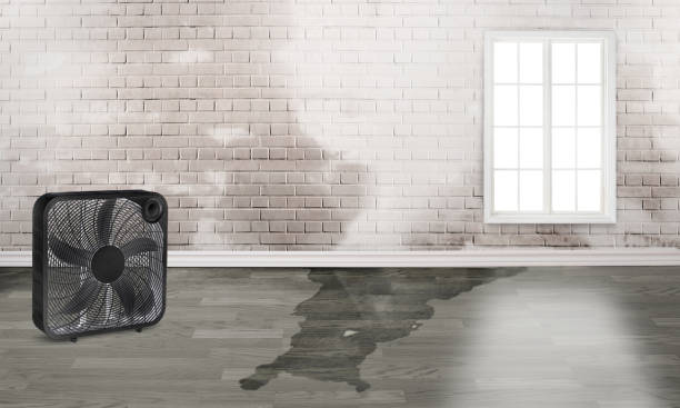 Best Residential water damage restoration  in West Bountiful, UT
