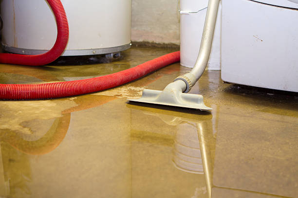 Best Carpet water damage restoration  in West Bountiful, UT