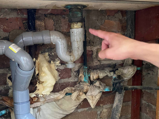 Best Water damage cleanup near me  in West Bountiful, UT