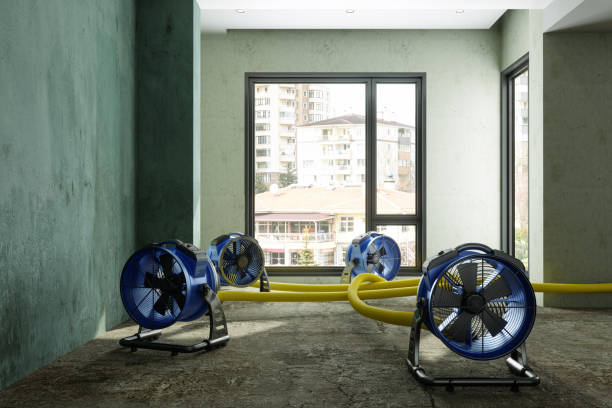 Best Emergency water damage restoration  in West Bountiful, UT