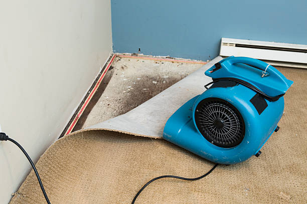 Best Professional water damage repair  in West Bountiful, UT